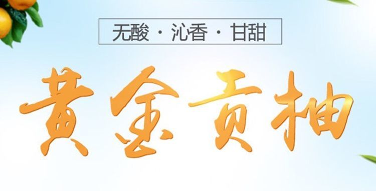 怀化洪江黄金贡柚春香桔柚10斤礼盒装象山青新鲜甜湖南农家小柚子