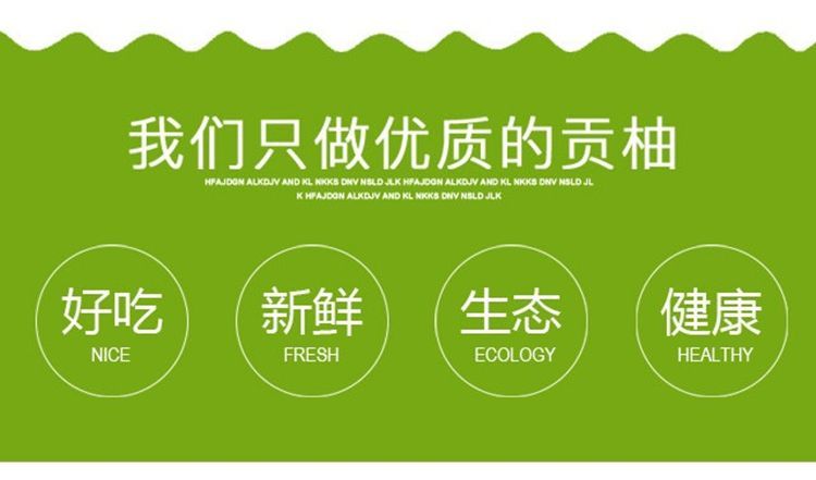 怀化洪江黄金贡柚春香桔柚10斤礼盒装象山青新鲜甜湖南农家小柚子