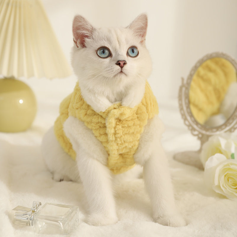 猫咪衣服秋冬季宠物小猫布偶英短银渐层猫猫可爱防掉毛加绒棉衣潮