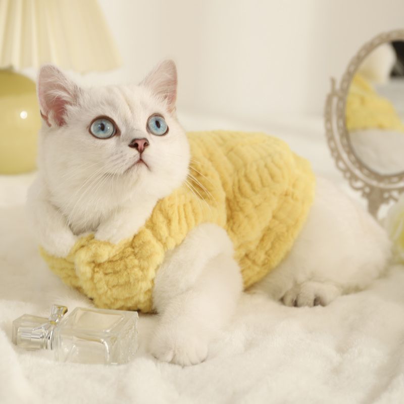 猫咪衣服秋冬季宠物小猫布偶英短银渐层猫猫可爱防掉毛加绒棉衣潮