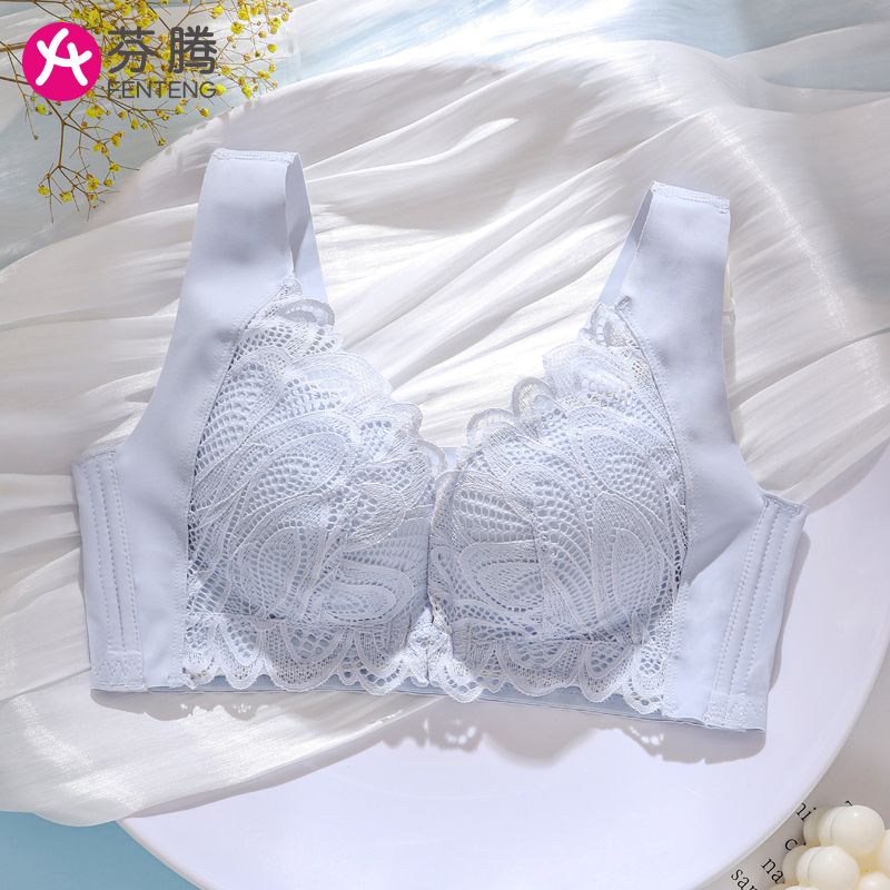 Fenteng beauty back front buckle underwear women's small breasts gather without steel ring adjustable breast lifting anti-sagging bra