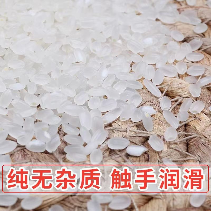 【掌中禾】珍珠米5斤寒地珍珠米五常东北圆粒粳米年新米批发