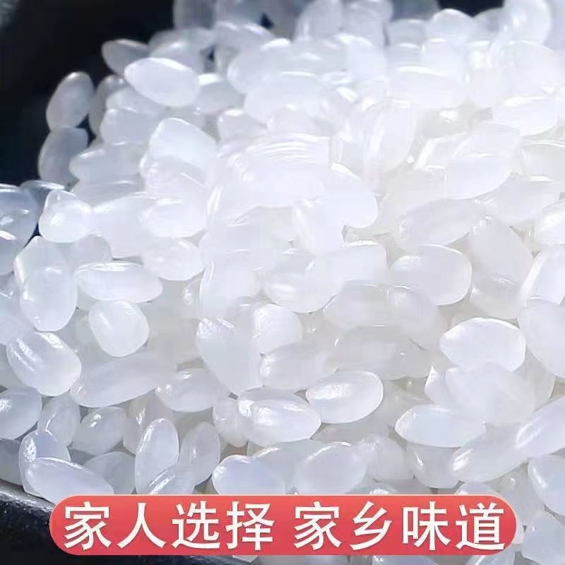 【掌中禾】珍珠米5斤寒地珍珠米五常东北圆粒粳米年新米批发