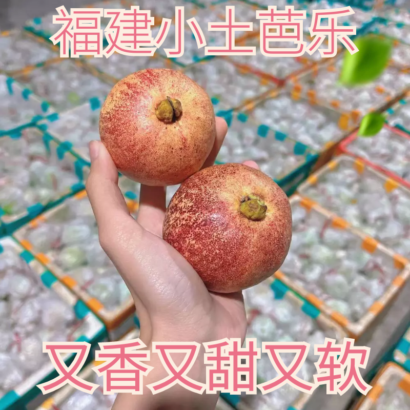 福建红皮小土芭乐罕见水果野生红心巴乐正宗草莓番石榴无籽水果