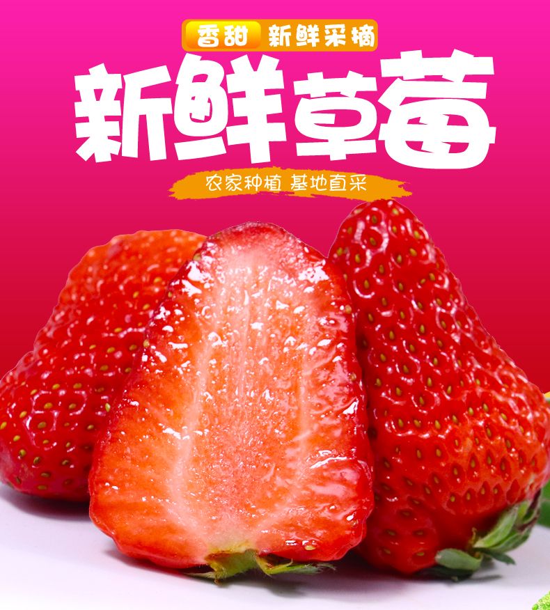 草莓新鲜当季水果草莓现摘现发甜草莓非牛奶丹东99草莓批发