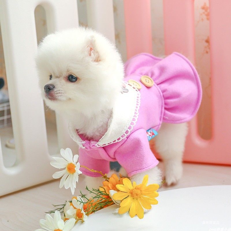 狗狗衣服春秋款比熊泰迪猫咪可爱韩式粉色公主风宠物秋冬猫咪衣服