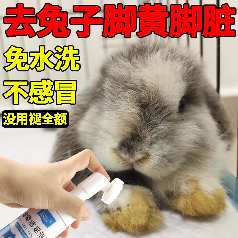 兔子脚底去黄兔子干洗泡沫清洁用品免洗幼兔兔兔洗脚宠物洁足泡泡