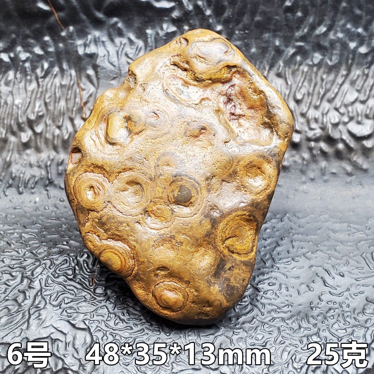 登場! 希少 蒙天珠 天眼天珠 九眼頁岩石 銭幣石天珠 品番0135