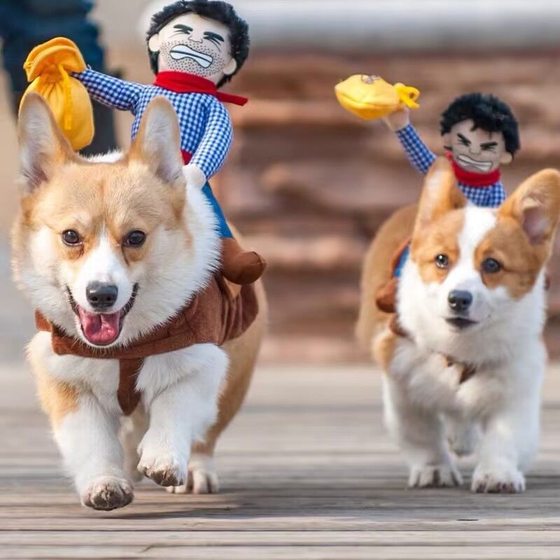 Dog Riding Horse Transforms into Network Red Pet Funny Cowboy Knight Kirky Teddy Funny Chai Dog Creative Dog Clothes