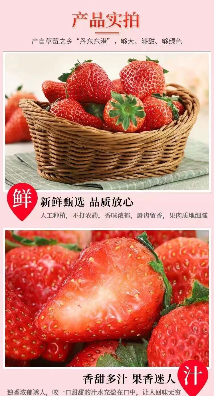  【现货】正宗丹东99草莓东港新鲜红颜九九奶油草莓整箱当季水果