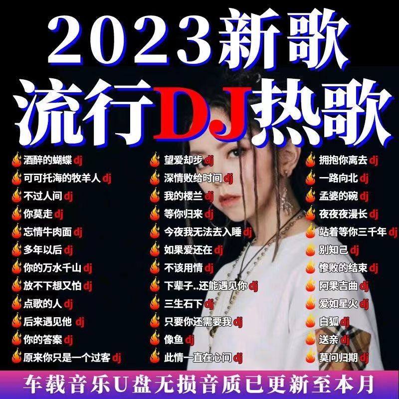2023流行DJ新歌U盘抖音热门歌曲中文DJ重低音串烧高音质MP3音视频