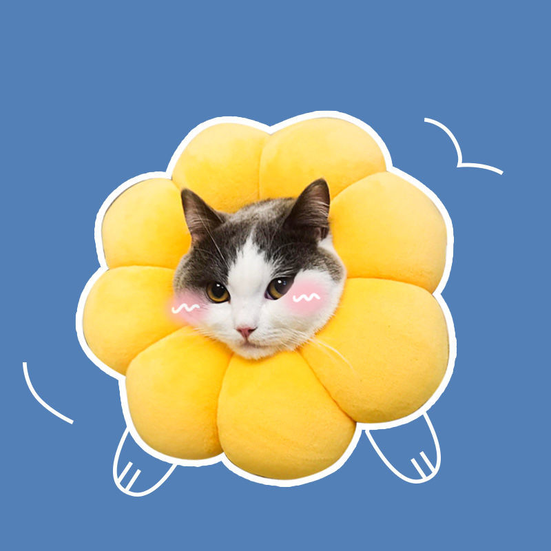 Sunflower Elizabeth Cat Collar Dog Collar Anti-Lick Anti-Scratch Cat Collar Dog Collar Cat Collar Pet Supplies