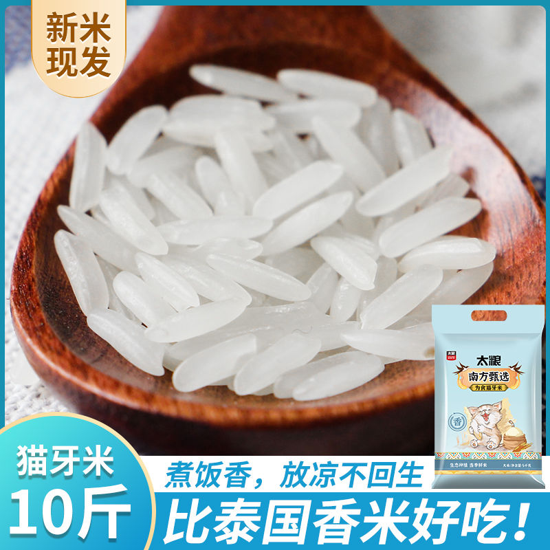 太粮猫牙米5kg象牙香米长粒新米10斤大米晚稻煲仔饭米
