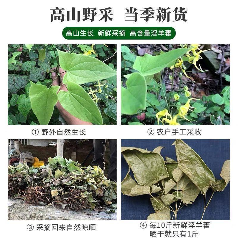 Gansu natural wild epimedium 500g Chinese herbal medicine epimedium yanghuo sheep leaf fairy spirit spleen tea 10g