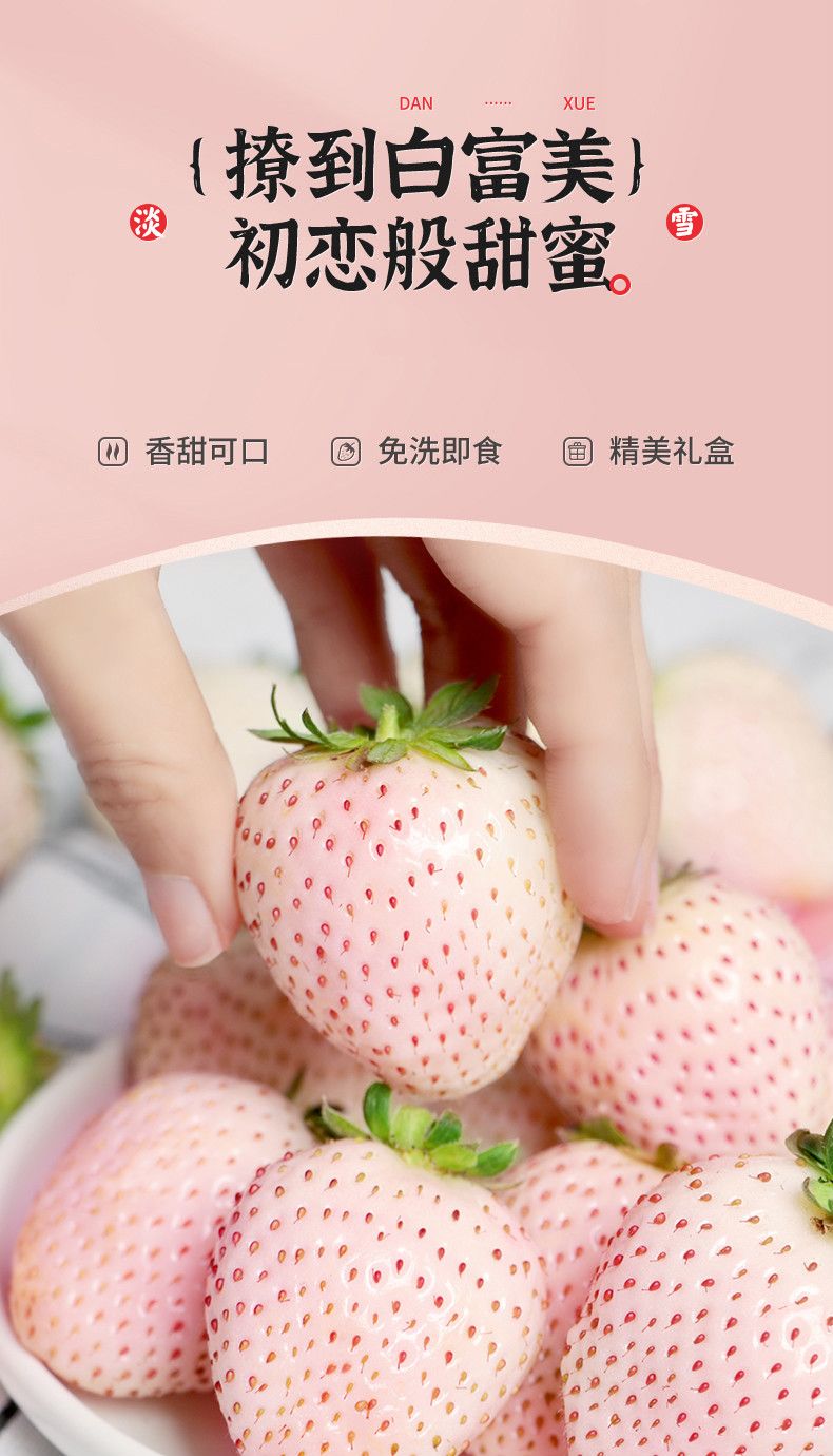  天使淡雪白草莓水果礼盒新鲜应季牛奶白雪公主草莓奶油一整箱高档