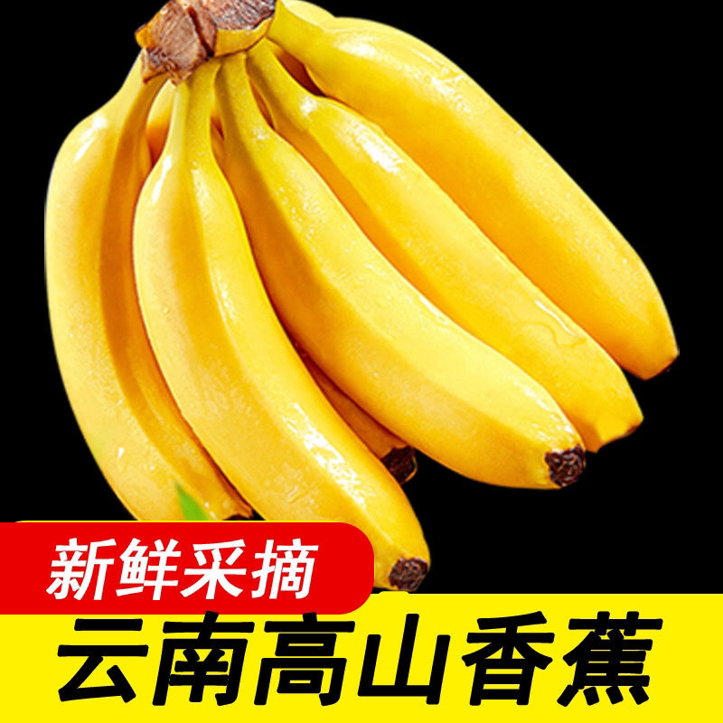 【香蕉】纯天然薄皮新鲜整箱当季特价香蕉新鲜水果