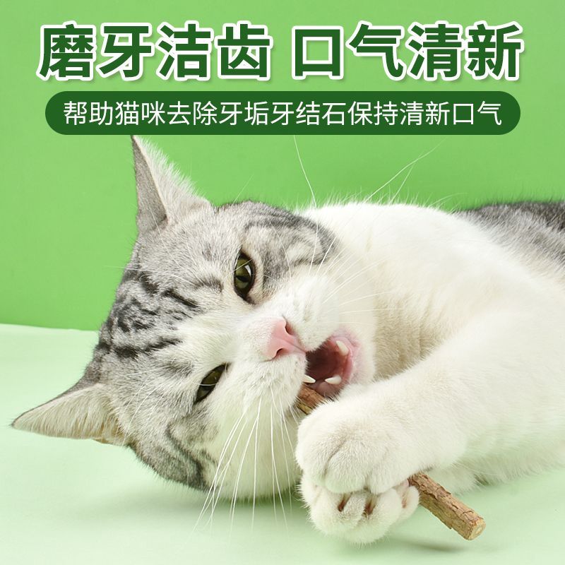 猫咪磨牙棒猫木天蓼棒幼猫磨牙零食玩具猫猫小用品猫薄荷大全专用