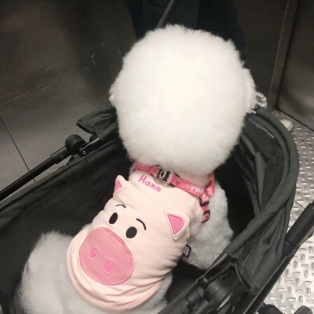 Summer thin piggy pet pink vest cartoon embroidery small dog bichon cat dog breathable clothes