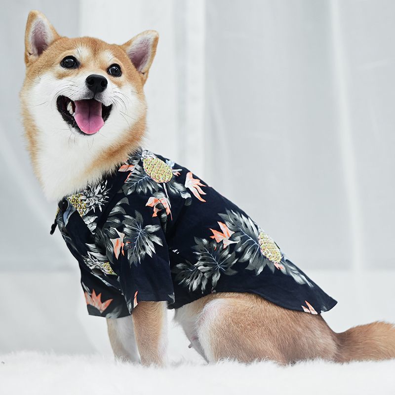 狗狗衣服夏季薄款衬衫泰迪博美比熊柯基小型犬宠物服饰小猫咪衣服