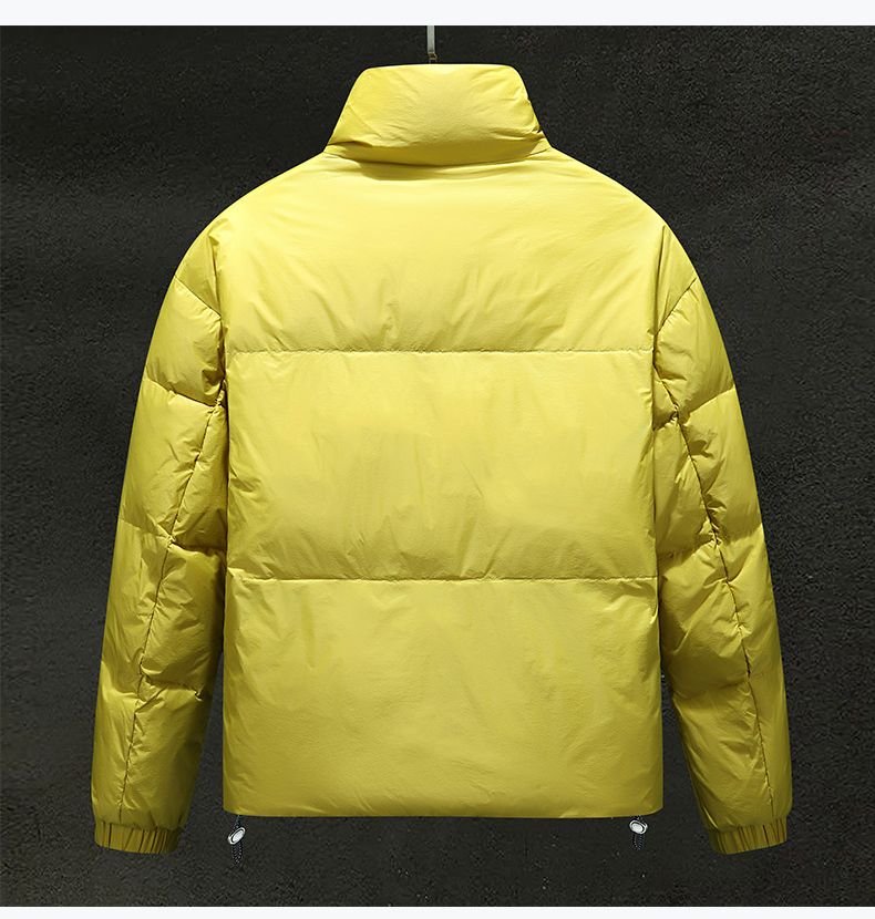 Men's Down Jacket Winter Thermal Duck Down Stand Collar Coat_voghion.com