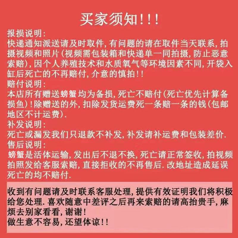 迷你蟹辣椒蟹观赏蟹可与灯科鱼孔雀鱼虾斑马鱼混养吃涡虫除藻活体 图片 9