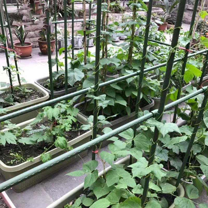包塑钢管家用支架庭院豆角黄瓜架爬藤架植物支撑杆户外葡萄架花架 图片 5