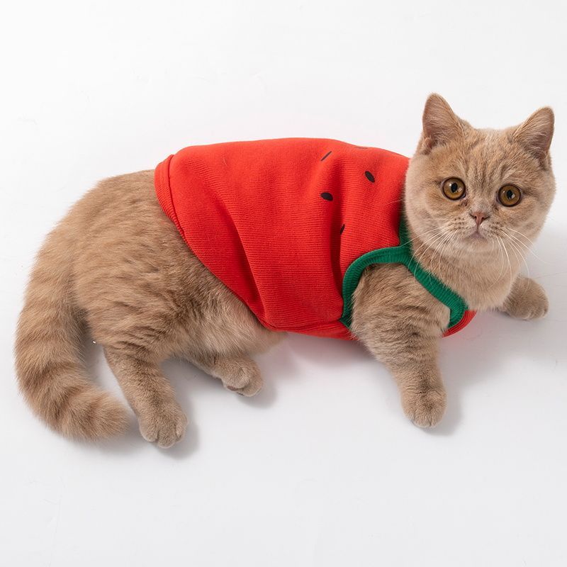 Cat clothing, breathable and cool in summer, avocado suspender, watermelon vest, kitten English short pet dog clothing