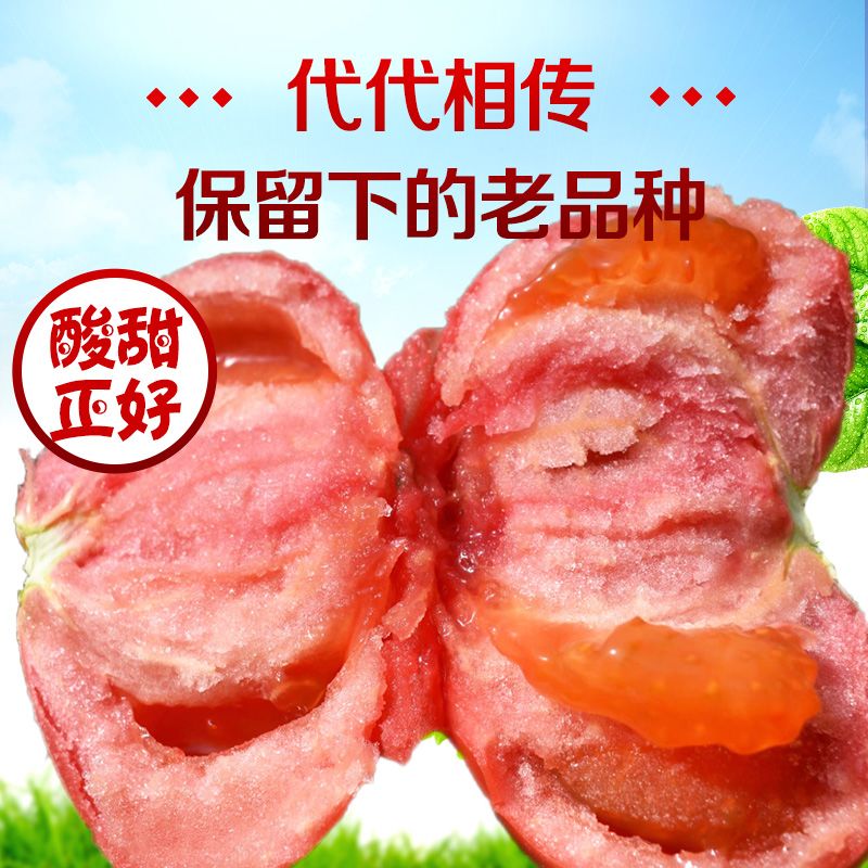 内蒙古西红柿新鲜自然熟沙甜当季采摘水果番茄蔬菜孕妇可生吃 图片 3