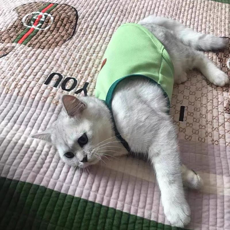 Cat Avocado Sling Tank Top Summer Pet Clothes Puppet English Short US Short Silver Gradual Layer Baby Cat Pet Clothes