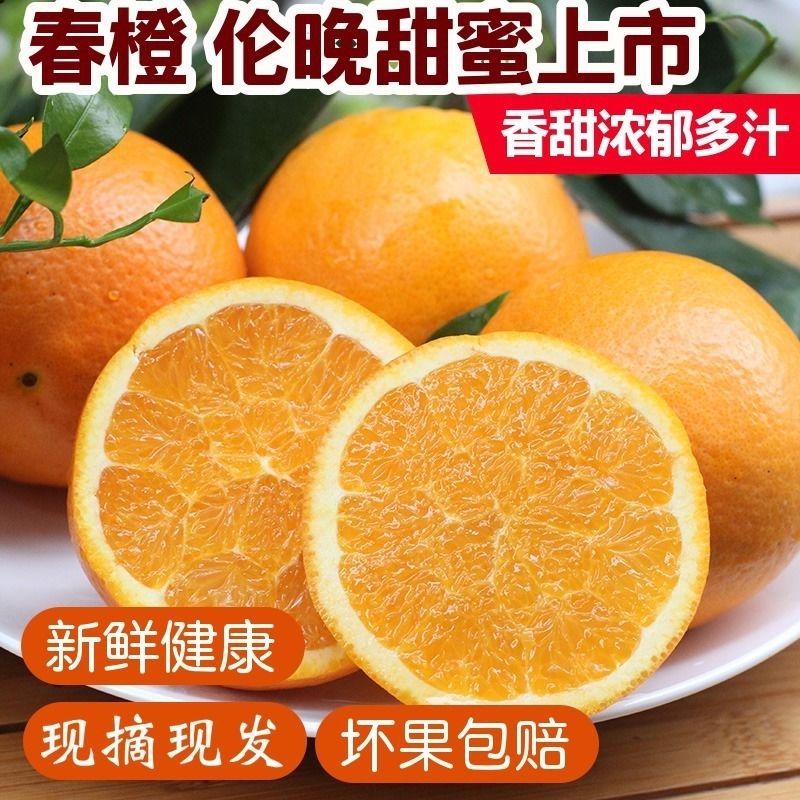伦晚脐橙子湖北秭归脐橙春橙冰糖橙果冻橙非赣南脐橙应季水果【价格 图片 正品 报价】-邮乐网