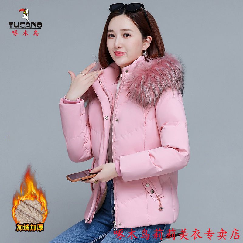 啄木鳥短款棉襖外套羽絨棉服女2023秋冬季新款連帽加厚保暖棉衣