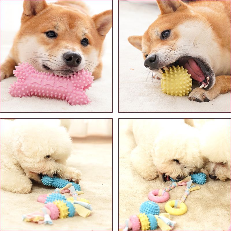 Dog Teething Toy Relieving Boredom Artifact Bite-Resistant Molar Stick Puppy Teddy Corgi Small Dog Pet Bite Ball