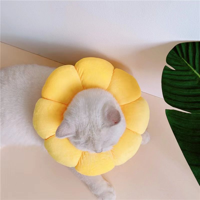 Sunflower Elizabeth Cat Collar Dog Collar Anti-Lick Anti-Scratch Cat Collar Dog Collar Cat Collar Pet Supplies