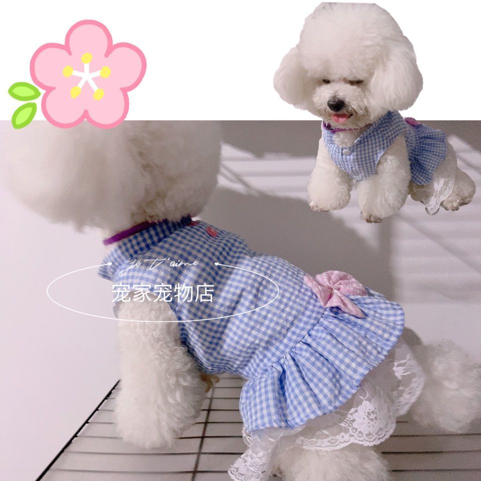 猫咪格子裙子夏季薄款布偶英短蓝猫狗狗衣服幼犬泰迪比熊宠物衣服