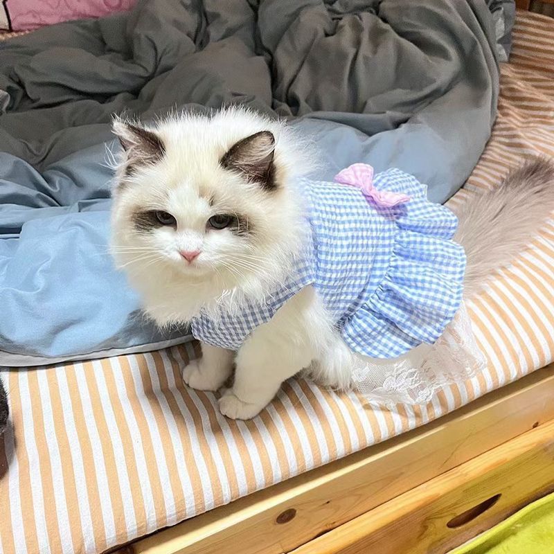 猫咪格子裙子夏季薄款布偶英短蓝猫狗狗衣服幼犬泰迪比熊宠物衣服