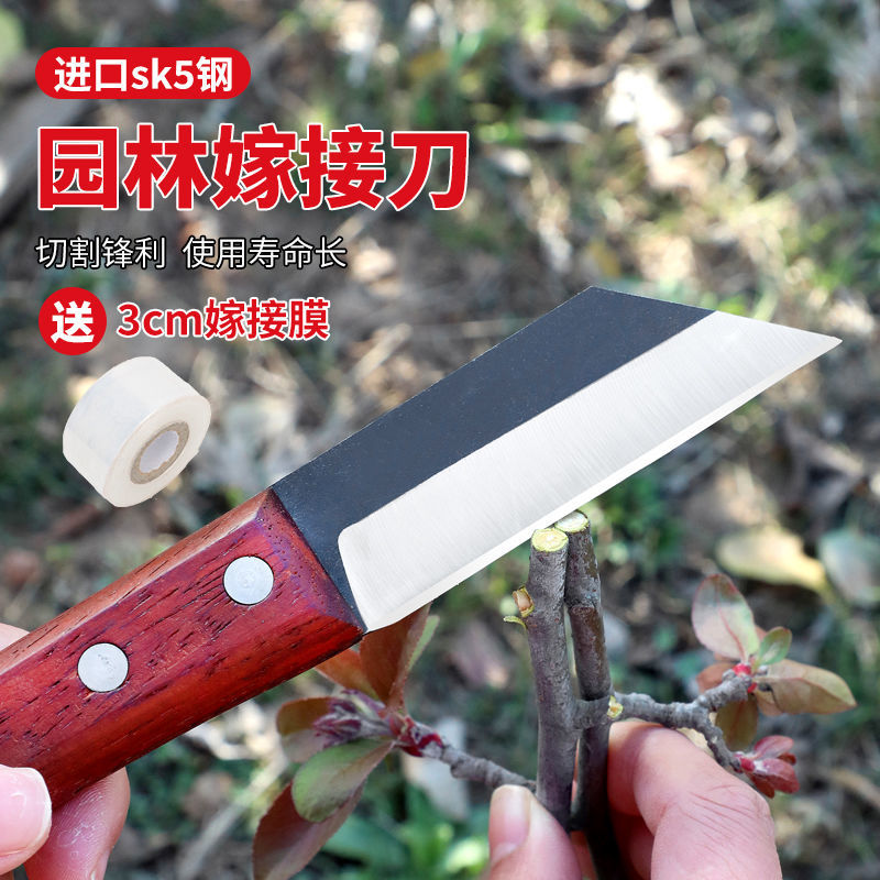日本钢嫁接刀工具果树粗树芽接刀特种园艺嫁接神器修剪刀具