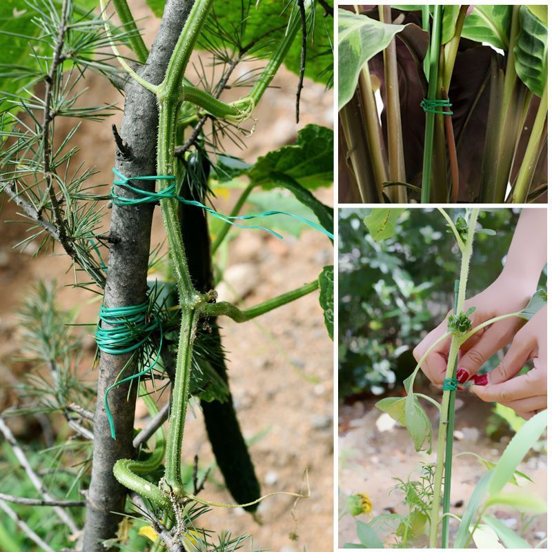 多功能园艺铁丝捆扎线扎带爬藤蔓固定器细铁丝包塑铁丝花架捆扎丝