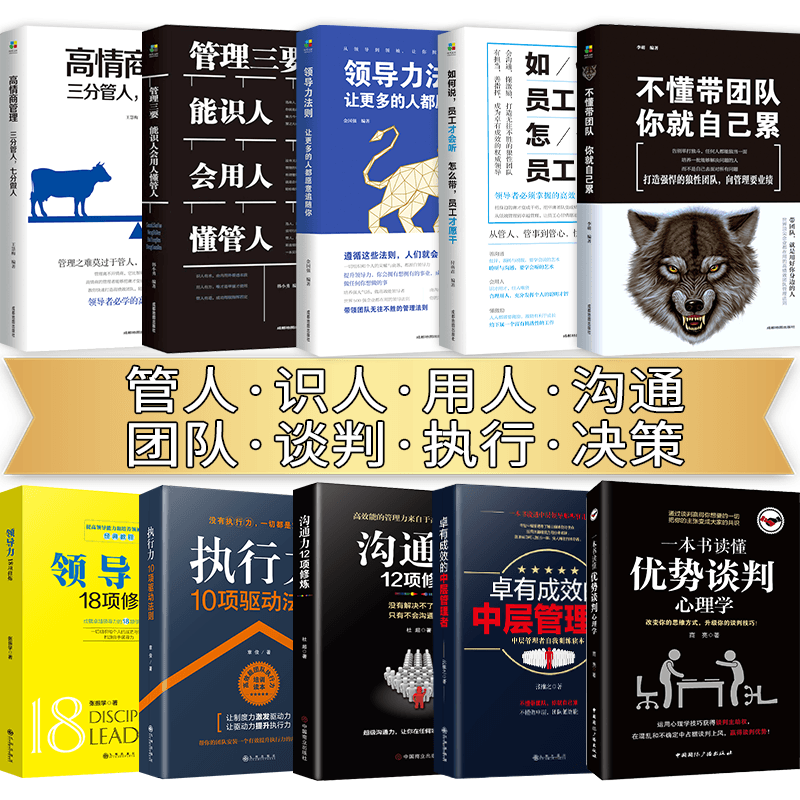 管理类书籍不懂带团队你就自己累企业管理团队管理培训公司管理书