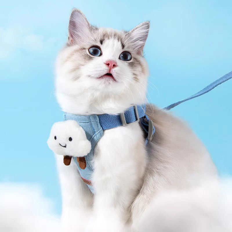Cat traction rope cat rope anti-break cat rope vest style slip cat rope cat go out net red walking cat rope