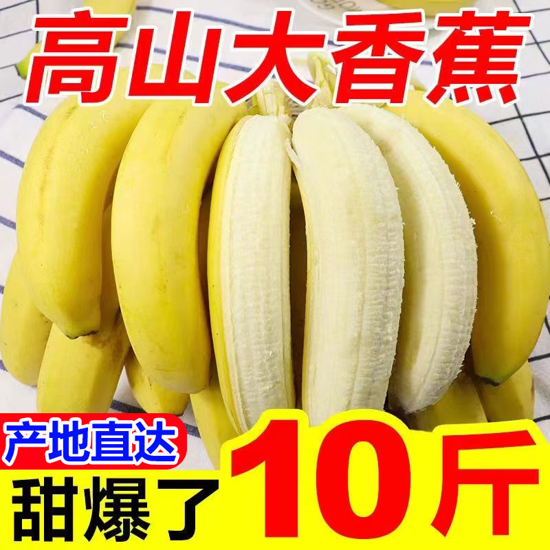 【香甜】云南特产高山大香蕉当季新鲜水果批发价整箱包邮米蕉芭蕉