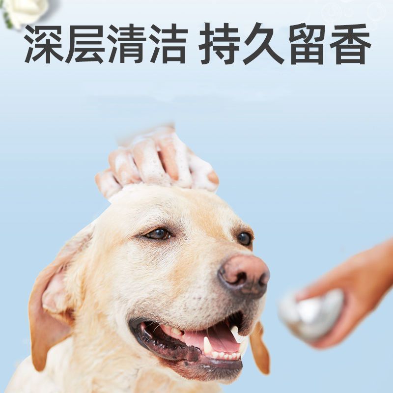 【泰迪犬专用】狗狗沐浴露泰迪抑菌除臭除螨宠物幼犬香波洗澡用品