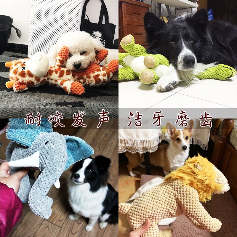 Pet Supplies Dog Koki Teddy Chai Dog Toy BB Shouting Sound, Grinding Teeth, Cleaning Teeth, Self Hi Relief, Bite Resistance, Companion