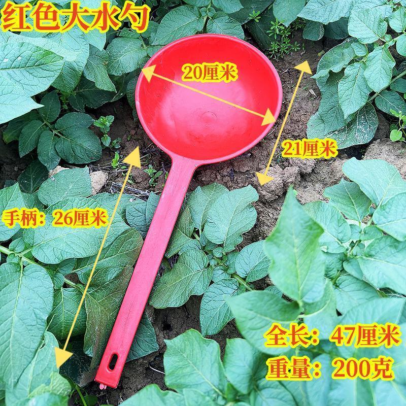 20cm长柄塑料水瓢