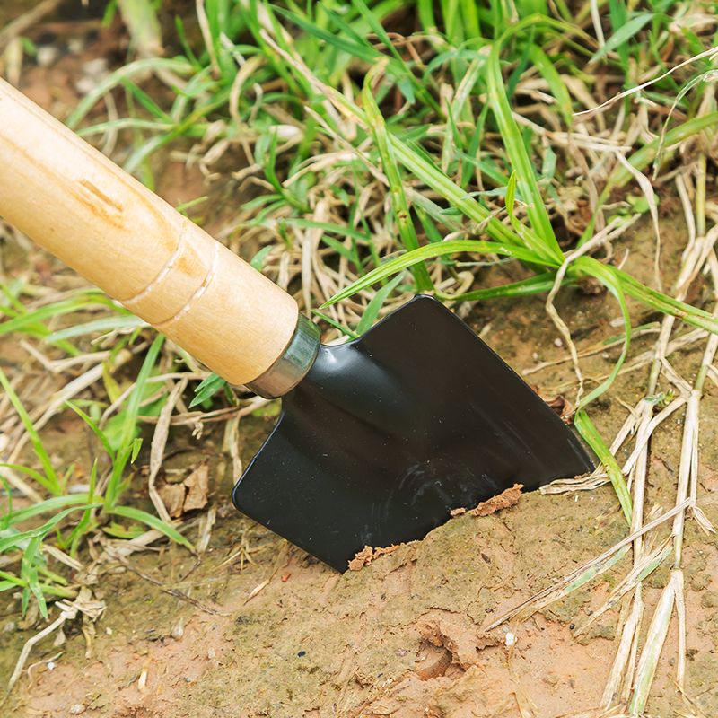 家用种花小铲子园艺工具三件套绿植多肉松土铁铲铁锹盆栽花铲喷瓶