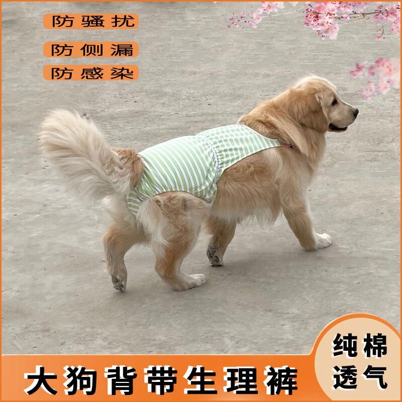 大狗背带生理裤金毛拉布拉多大型犬母狗安全裤生理期防骚扰卫生裤