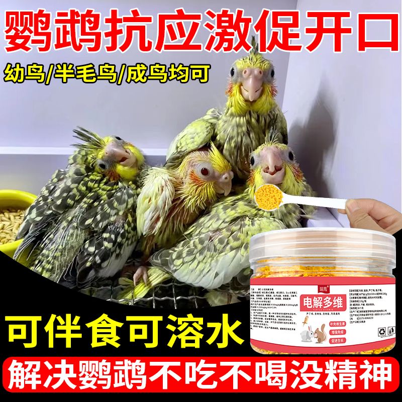 鸟用电解多维电解质解决鹦鹉应激拉稀不吃不喝没精神促开口营养粮