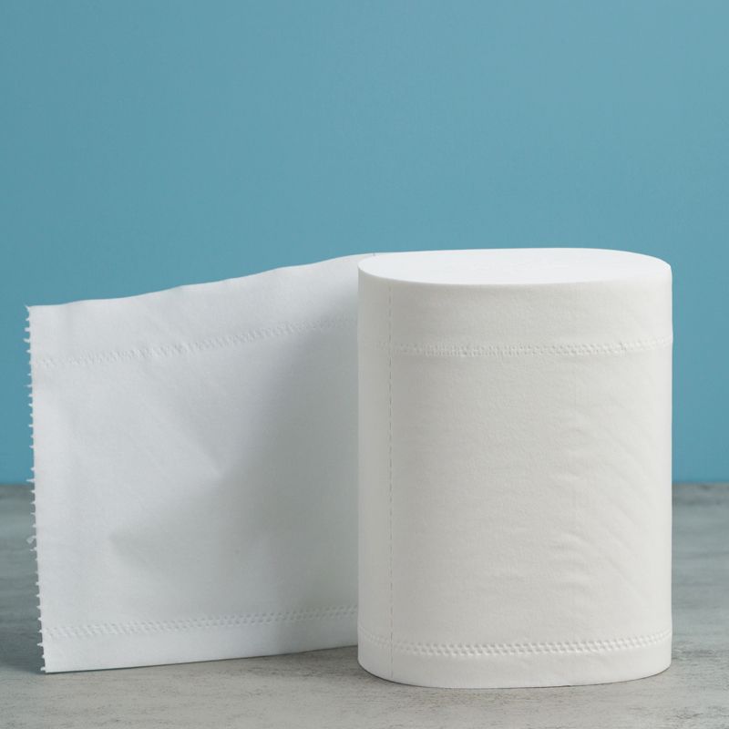 丽姿卫生纸3.6斤12大卷无芯大卷批发家用家庭学生宿舍厕纸卷筒纸