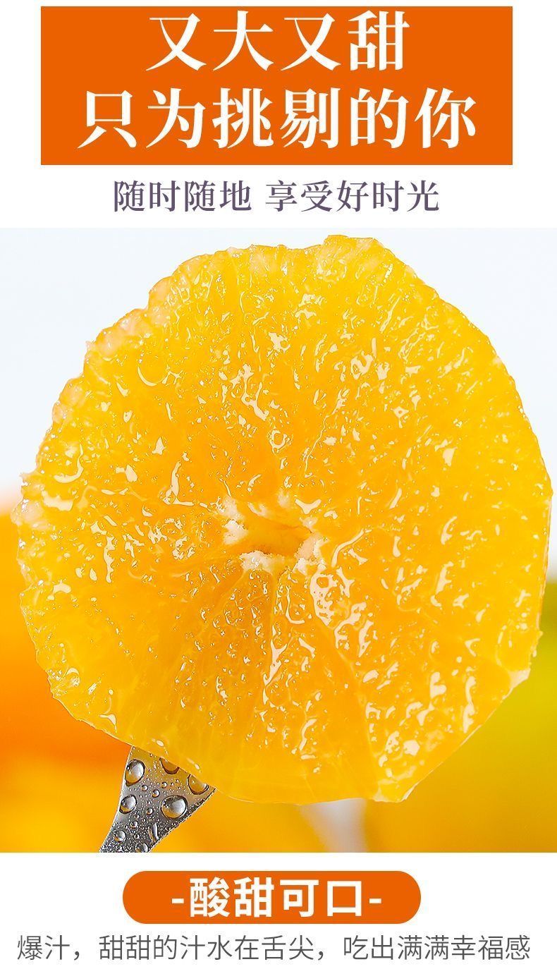 【大降价】新鲜夏橙应季水果甜橙子手剥橙子非血橙薄皮整箱包邮