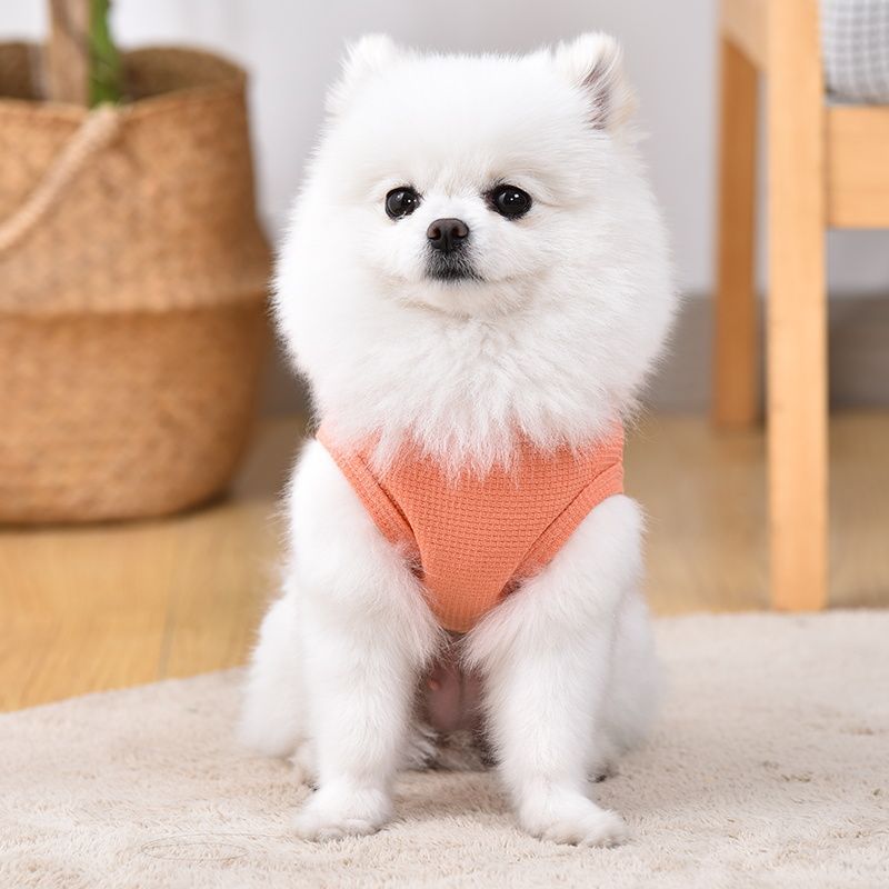 Dog Clothing Summer Tank Top Teddy Bears Pomeranian Small Dog Puppy Cat Clothing Summer Pet Breathable Tank Top