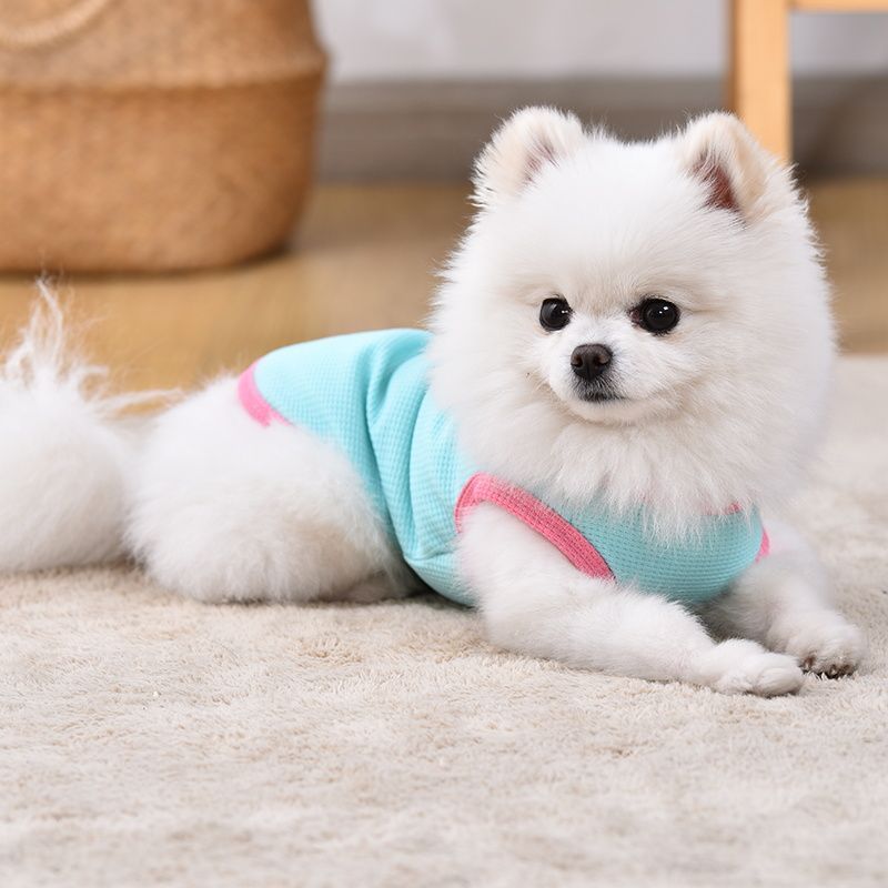 Dog Clothes Summer Thin Breathable Teddy Bears Corgi Chai Dog Puppies and Puppies Summer Cool Pet Clothes